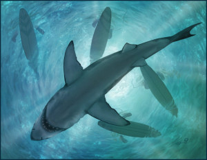 Great White by Andy Fairhurst