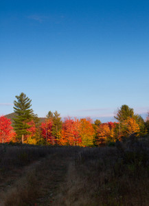 fall land landscapes color