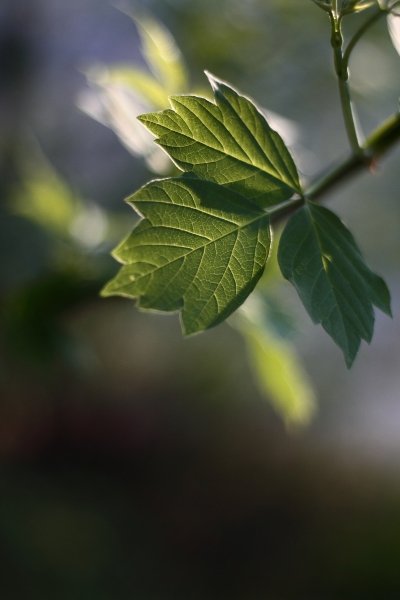 027