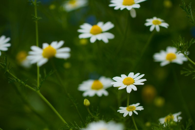 IMG_3812