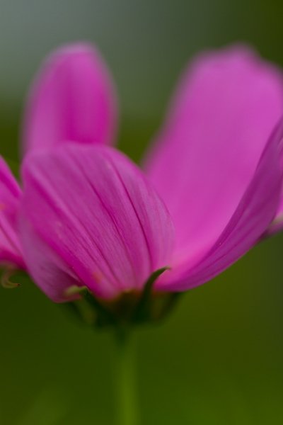 IMG_3878