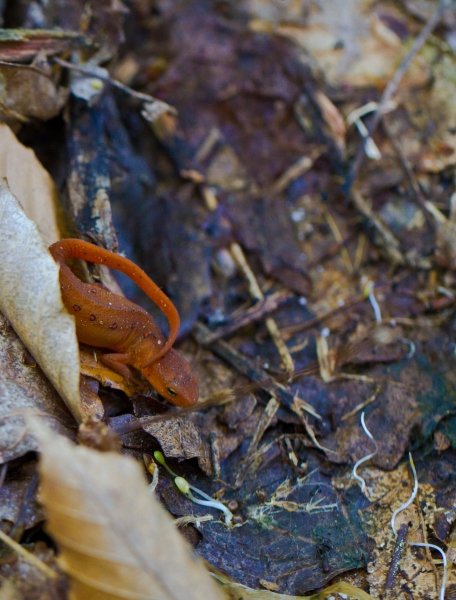 sliverlakehike 023-2