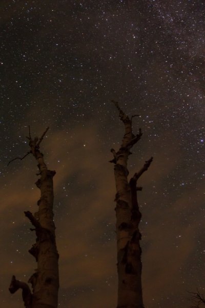 1_milkyway-9300-2