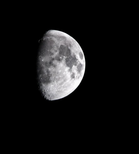 IMG_0517