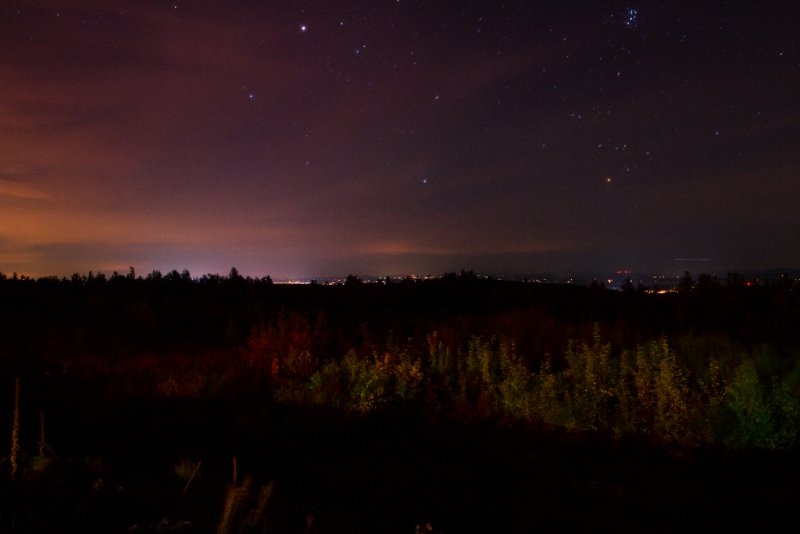 fall-9889