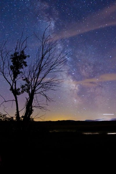 lakealice-4972